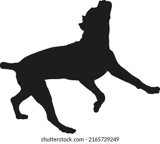 Saltando caña de corso italiano cachorro. Perro corso italiano o mastiff italiano. Silueta de perro negro. Animales de mascotas. Aislado sobre un fondo blanco. Ilustración vectorial.