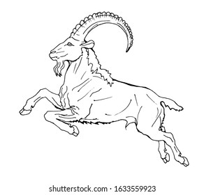 jumping Capricorn, outline drawing, sketch, vector isolated monochrome image on a white background