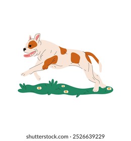 Bulldog francês de desenho animado de salto. Vetor cão de brinquedo de raça pura. França raça canina. Clipart de animal de estimação ou cachorrinho doméstico, banner de cinologia ou adesivo de zoologia. Personagem mascote mamífero. Imagem biológica. Cachorro, cachorrinho