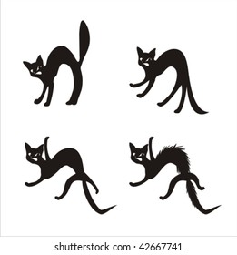 jumping cat