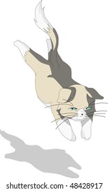 Jumping cat on a white background