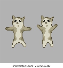 Jumping cat, pixel art meme illustration 