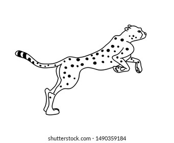 Jumping cheetah vector illustration. Black and white drawing of an african wild animal.