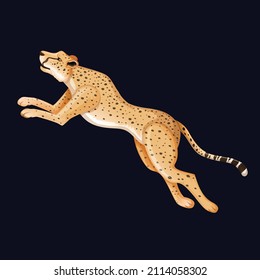 Jumping cheetah vector Illustration Isolated 