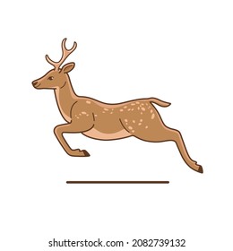 Jumping deer. Detailed drawing of animal. Vector illustration.