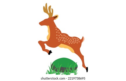 Jumping Deer Illustration on the White