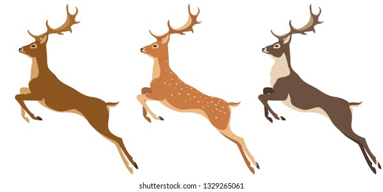 jumping deer for your design. Red deer, spotted deer and reindeer, vector illustration, isolated objects