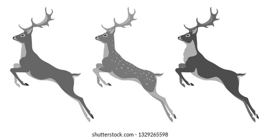 jumping deer for your design. Red deer, spotted deer and reindeer, vector illustration, isolated objects