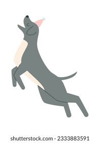 Jumping Dog With Birthday Hat Vector Illustration