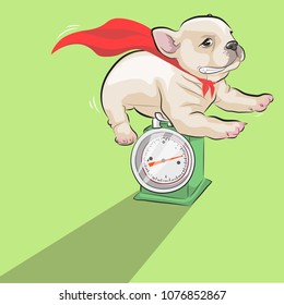 Jumping dog and Red cape