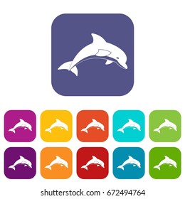 Jumping dolphin icons set vector illustration in flat style In colors red, blue, green and other