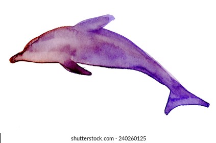 Jumping  dolphin. Vector illustration.