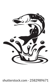 jumping fish and splash isolated on white background