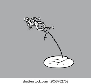 Jumping frog hand drawn line art isolated on gray