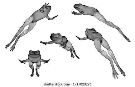 Jumping frog polygonal lines illustration. Abstract vector frog on the white background