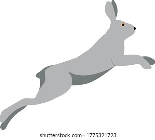 Jumping gray hare in a flat style