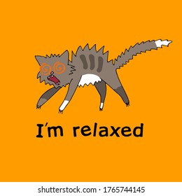 Jumping gray screaming cat on yellow background.