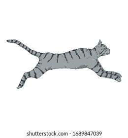 Jumping Gray Striped Cat. Vector Cartoon Illustration