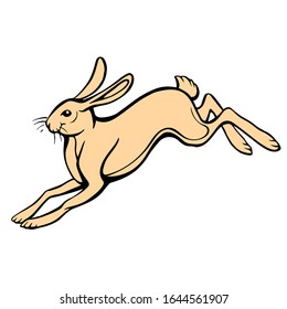 Jumping hare isolated on white. Hand drawn vector stock illustration.