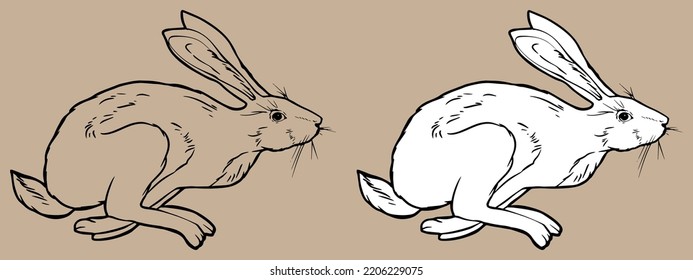 Jumping hare. vector black and white line drawing. For your design and coloring books. Isolated drawing. Hand-drawn.