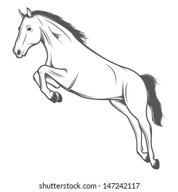 Jumping horse isolated on white background