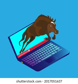 Jumping Horse from Live Internet Stream