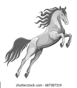 Jumping horse on a white background