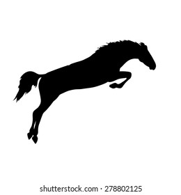 jumping up horse Silhouette realistic drawing on isolated background