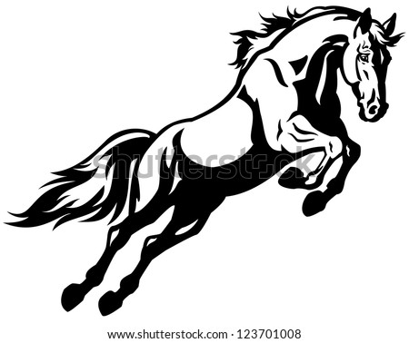 jumping horse,black white picture isolated on white background,vector illustration