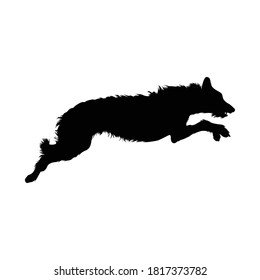 Jumping Irish Wolfhound On a Side View Silhouette Found In Ireland. Good To Use For Element Print Book, Animal Book and Animal Content