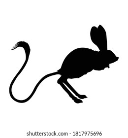 Jumping Jerboa On a Side View Silhouette Found In Map Of Northern Africa and Asia. Good To Use For Element Print Book, Animal Book and Animal Content