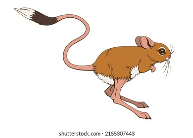 Jumping Jerboa. Vector clipart isolited on white.