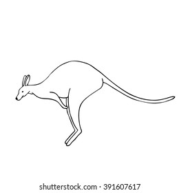 Jumping kangaroo, Australian animal linear hand drawn illustration. Vector.