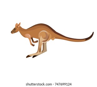 Jumping kangaroo. Vector illustration isolated on the white background