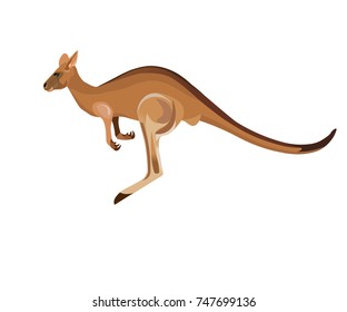 Jumping kangaroo. Vector illustration isolated on the white background