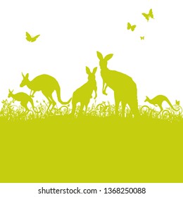 Jumping kangaroos in the grass in Australia