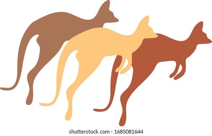 Jumping Kangaroos isolated Vector Illustration