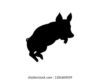 Jumping pig illustration.