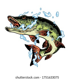 Jumping pike fish in water splashes in vintage style isolated vector illustration