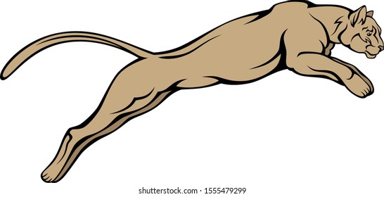 Jumping puma on a white background