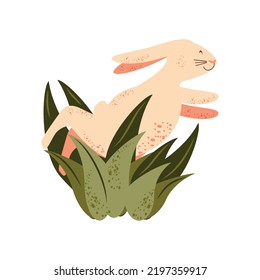 jumping rabbit in plants isolated icon