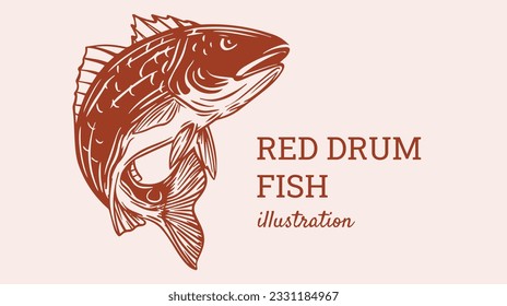 Jumping red drum fish or Red fish hand drawing illustration for logo design, packaging, label design, print and other design.