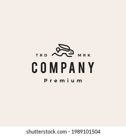 jumping running rabbit hare bunny hipster vintage logo vector icon illustration