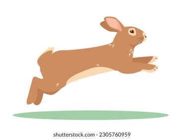Saltar o correr conejo o liebre. Icono de animal salvaje o granja o mascota. Ilustración vectorial aislada en fondo blanco.