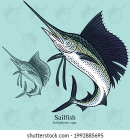 Jumping Sailfish. Vector illustration with refined details and optimized stroke that allows the image to be used in small sizes (in packaging design, decoration, educational graphics, etc.)