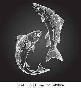 Jumping Salmon fish. Hand drawn illustration. 