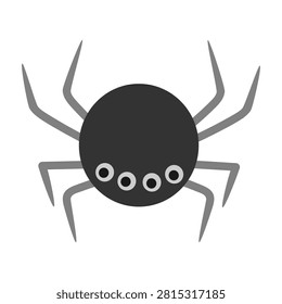 Jumping spider. Hand drawn vector flat. Arthropod. Insect, hexapod. Animal. Pest. Dangerous spinner, caterpillar. Color illustration.