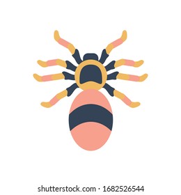 jumping spider icon over white background, flat style, vector illustration