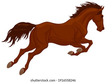 Jumping stallion arched its neck. Dark brown leaping horse pricked up its ears. Vector illustration, design element for stud farms and equestrian shows.