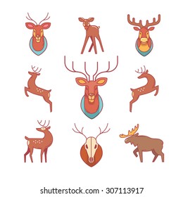 Jumping and standing deers, moose, antlers and horns, stuffed deer heads and scull. Thin line icons set. Modern flat style symbols isolated on white for infographics or web use.